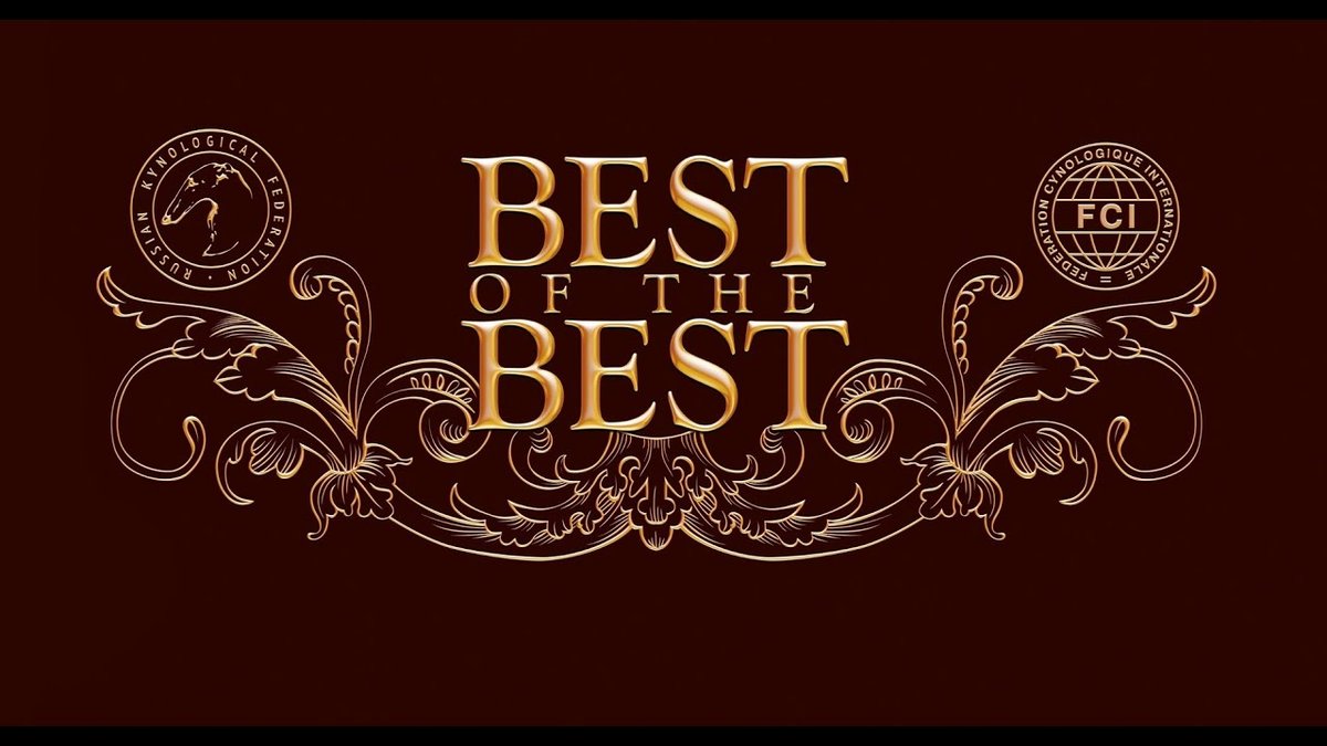 Best Plumber in Decatur Delivers Quality Service and Fair Prices